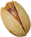 Pistachio