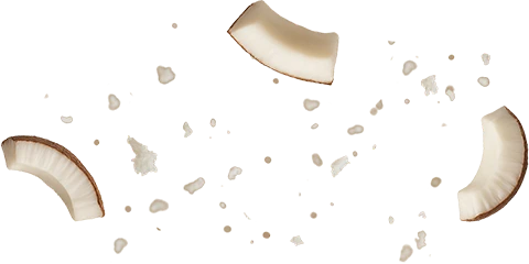 Coconut