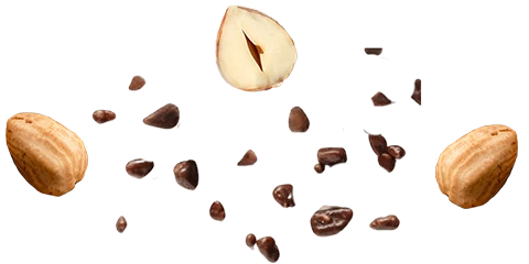 Hazelnuts and chocolate chips